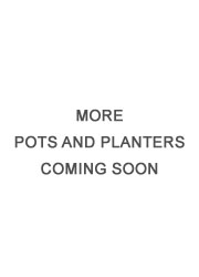 best-planters coming soon